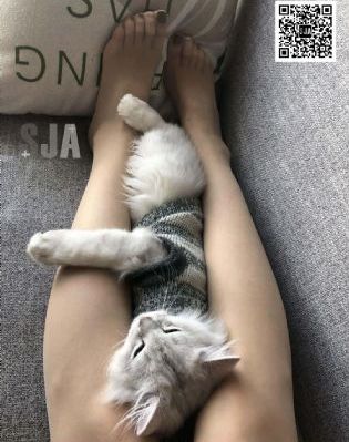 年轻的寡妇4韩国电影_超清影视在线观看