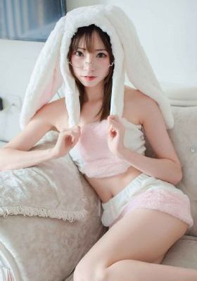 四大名捕 电视剧_DVD手机在线观看