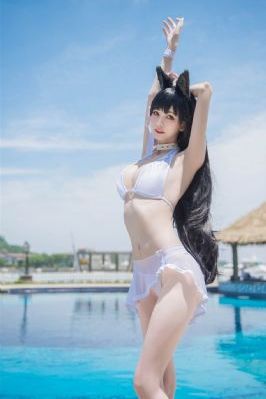 情满四合院一共多少集_BD国语免费观看视频
