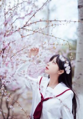 伊人www_BD英语在线视频播放